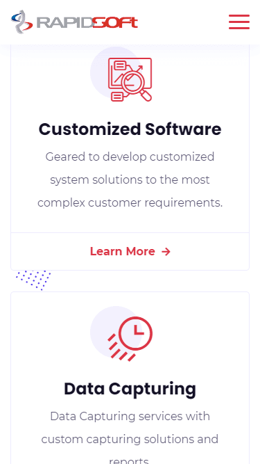 Rapidsoft website Screenshot